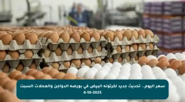 سعر اليوم.. تحديث جديد لكرتونة البيض في بورصة الدواجن والمحلات السبت 4-10-2025